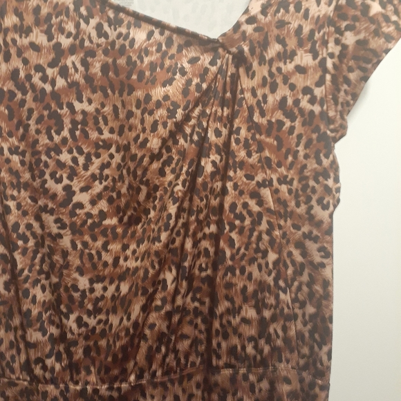 Leopard Print Dress - Picture 2 of 5
